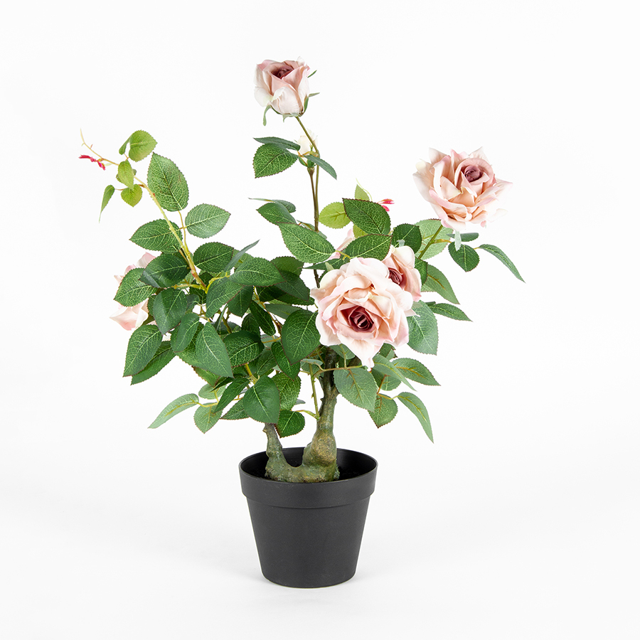 Willow &amp; Silk Artificial/Faux 65cm Lagerfield Rose Plant in Pot