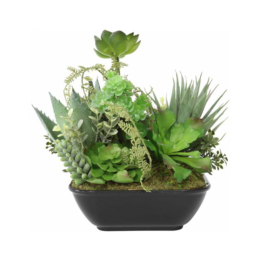 Willow &amp; Silk 2 Piece Artificial Succulents in Pot