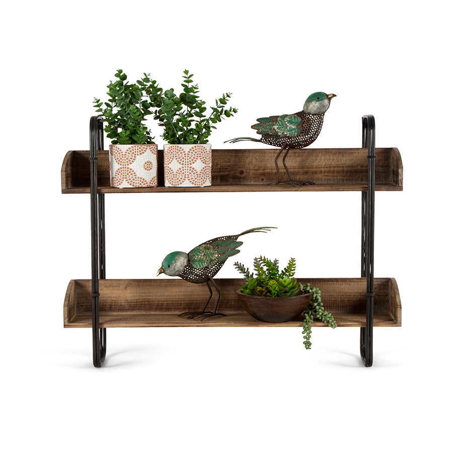 Chic 2-Tier Wall Display Storage Shelf