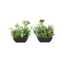 Willow &amp; Silk 2 Piece Artificial Succulents in Pot