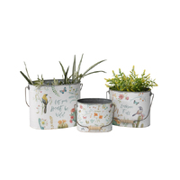 Willow &amp; Silk Oval 41/33/25cm Birds/Butterflies Set of 3 Bucket Planters