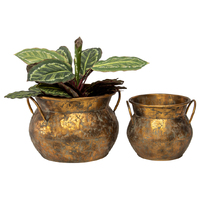 Willow &amp; Silk Nested Metal 37cm/25cm Set of 2 Golden Antique Pot/Planters