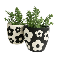 Willow &amp; Silk Set/2 Assorted 17cm Monochrome Flower Garden Pot Planters