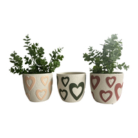 Willow &amp; Silk 13.5cm Set of 3 Assorted Colour Heart Garden Pot Planters