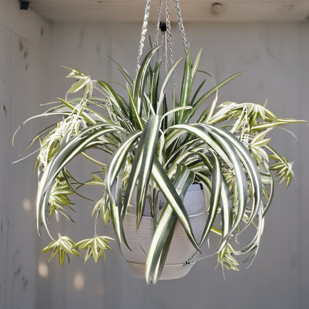 Willow &amp; Silk Hanging Plant Artificial Spider Bush 60cm