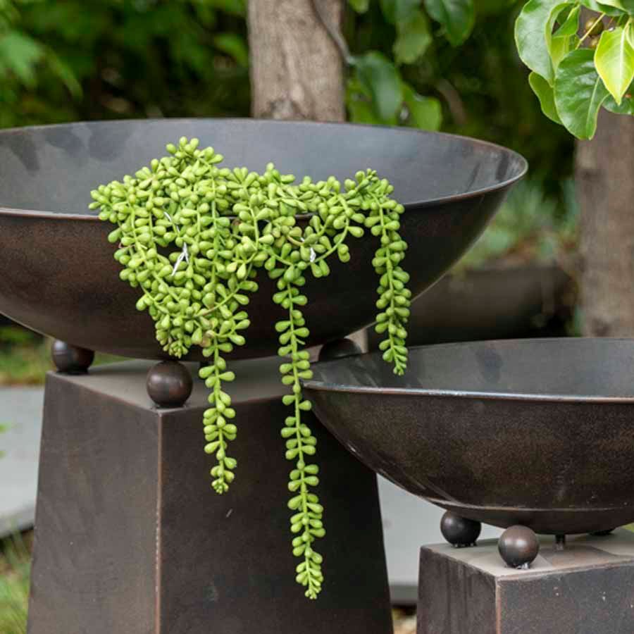 Willow &amp; Silk Artificial 74cm Hanging Green String of Pearls Plant