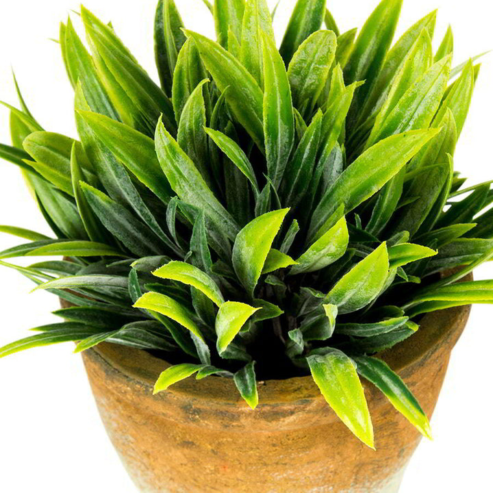 Willow &amp; Silk Artificial Plant In Small Terracotta Pot