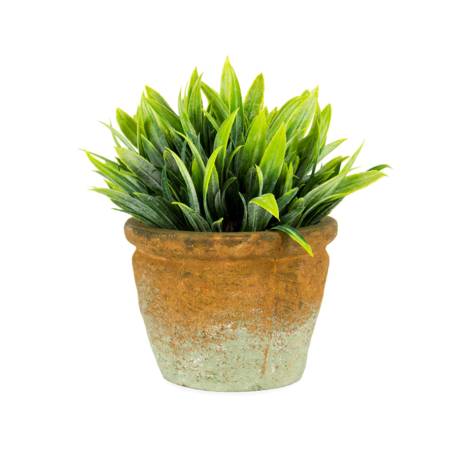 Willow &amp; Silk Artificial Plant In Small Terracotta Pot
