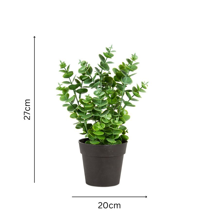 Willow &amp; Silk Artificial/Faux 27cm Green Eucalyptus Plant w/ Pot