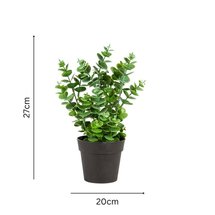 Willow &amp; Silk Artificial/Faux 27cm Green Eucalyptus Plant w/ Pot