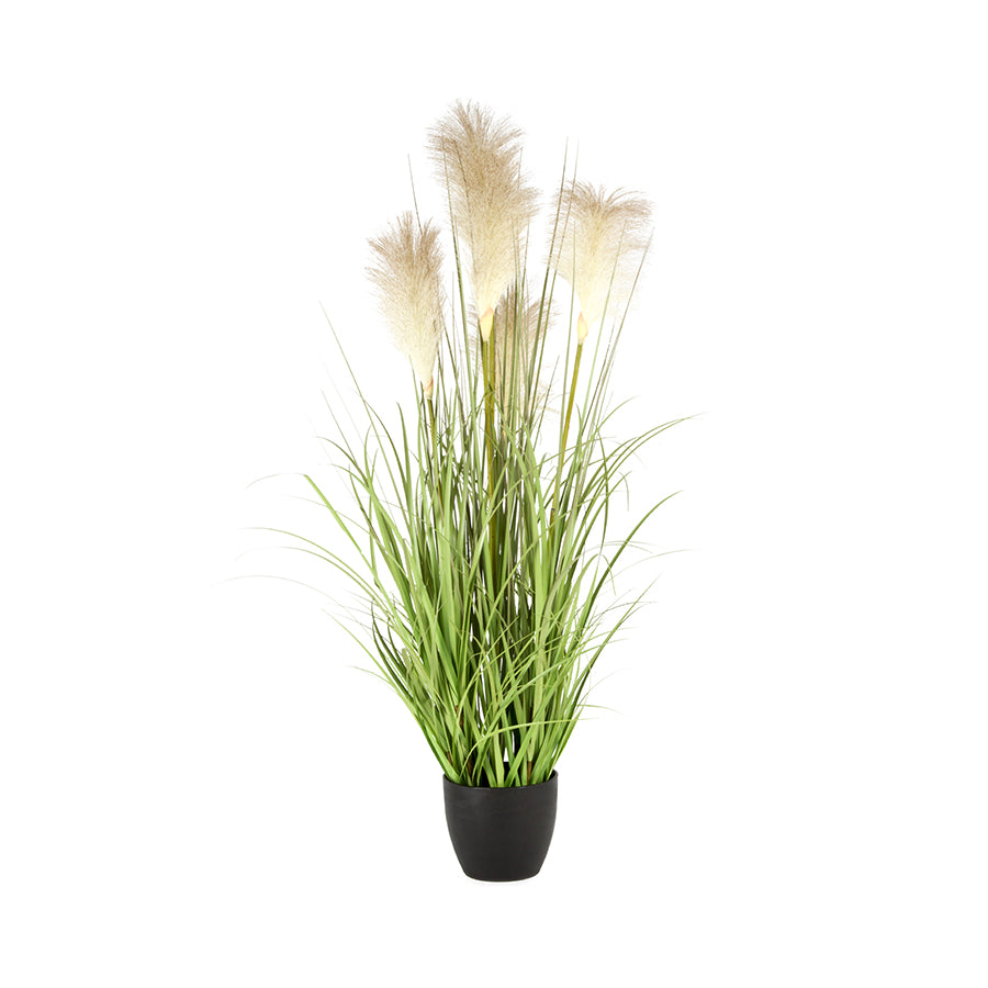 Willow &amp; Silk Artificial Long Pampas Grass In Pot