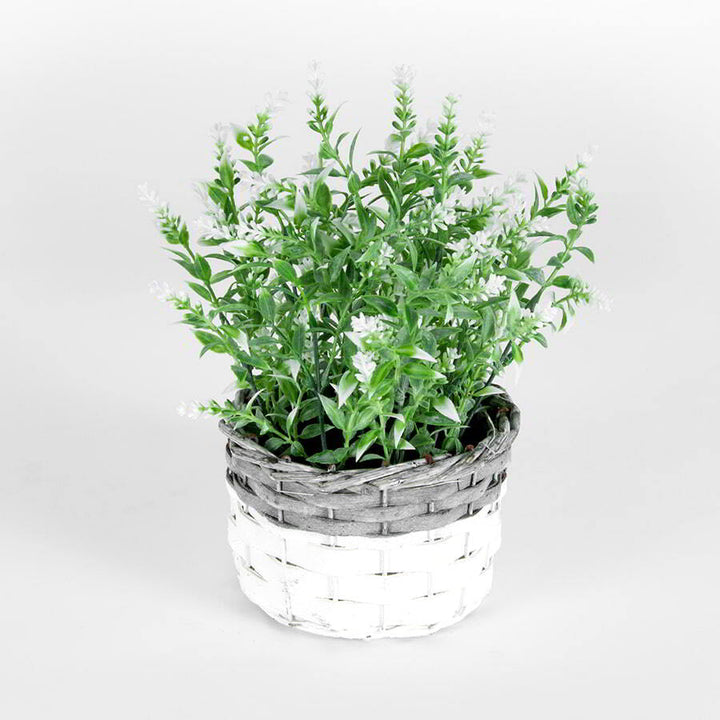 Willow &amp; Silk Artificial 26cm White-Stem Flower In Basket Plant