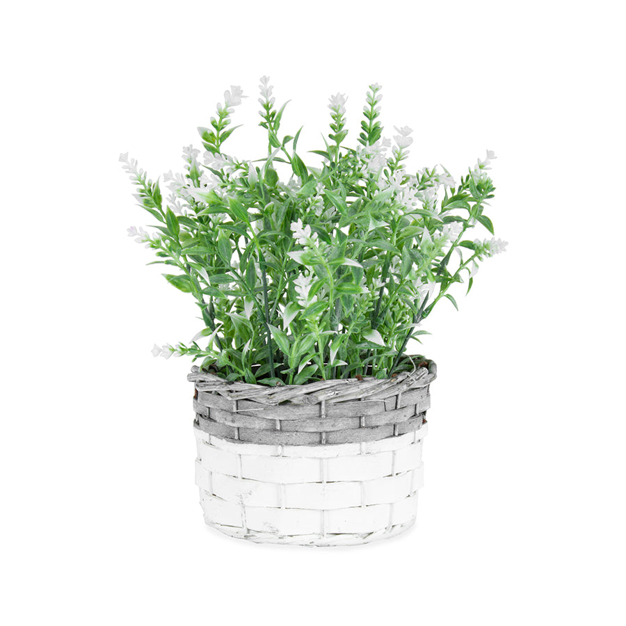 Willow &amp; Silk Artificial 26cm White-Stem Flower In Basket Plant