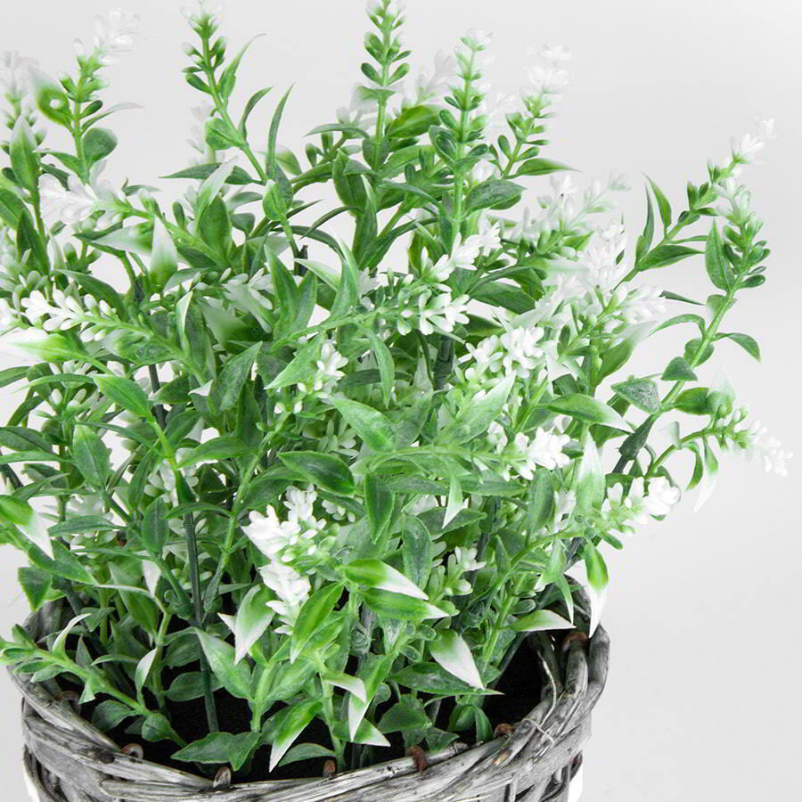 Willow &amp; Silk Artificial 26cm White-Stem Flower In Basket Plant