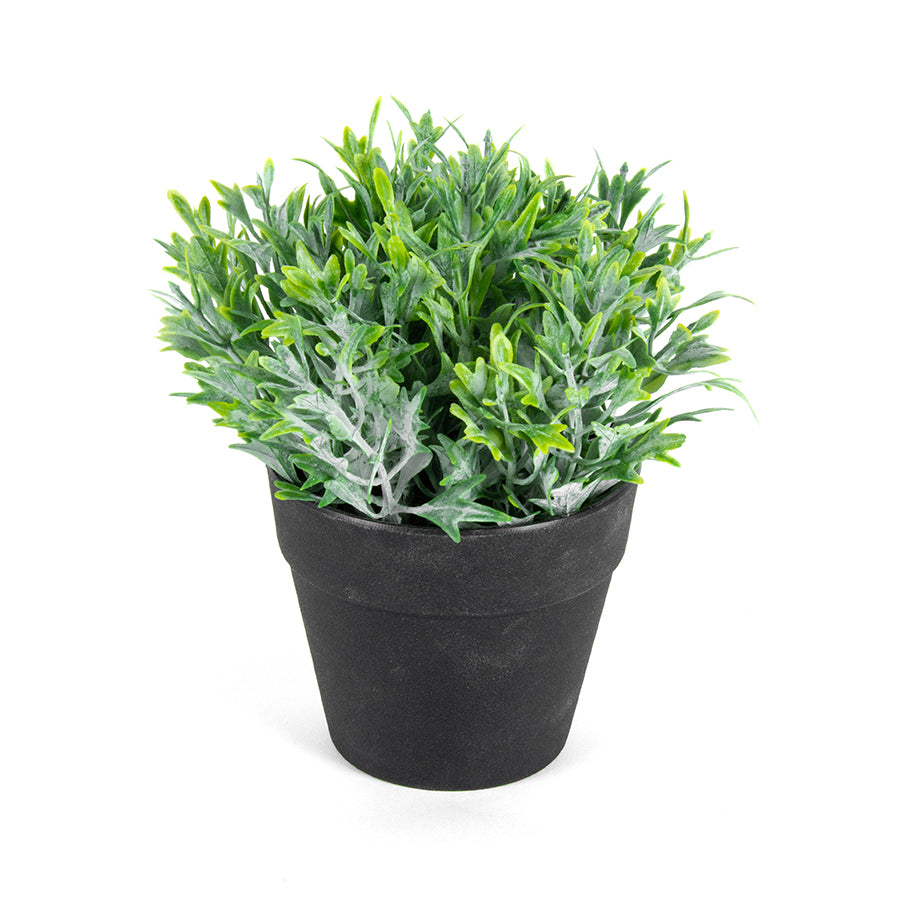 Willow &amp; Silk Artificial/Faux 17cm Green Fing Plant In Pot/Home Decor