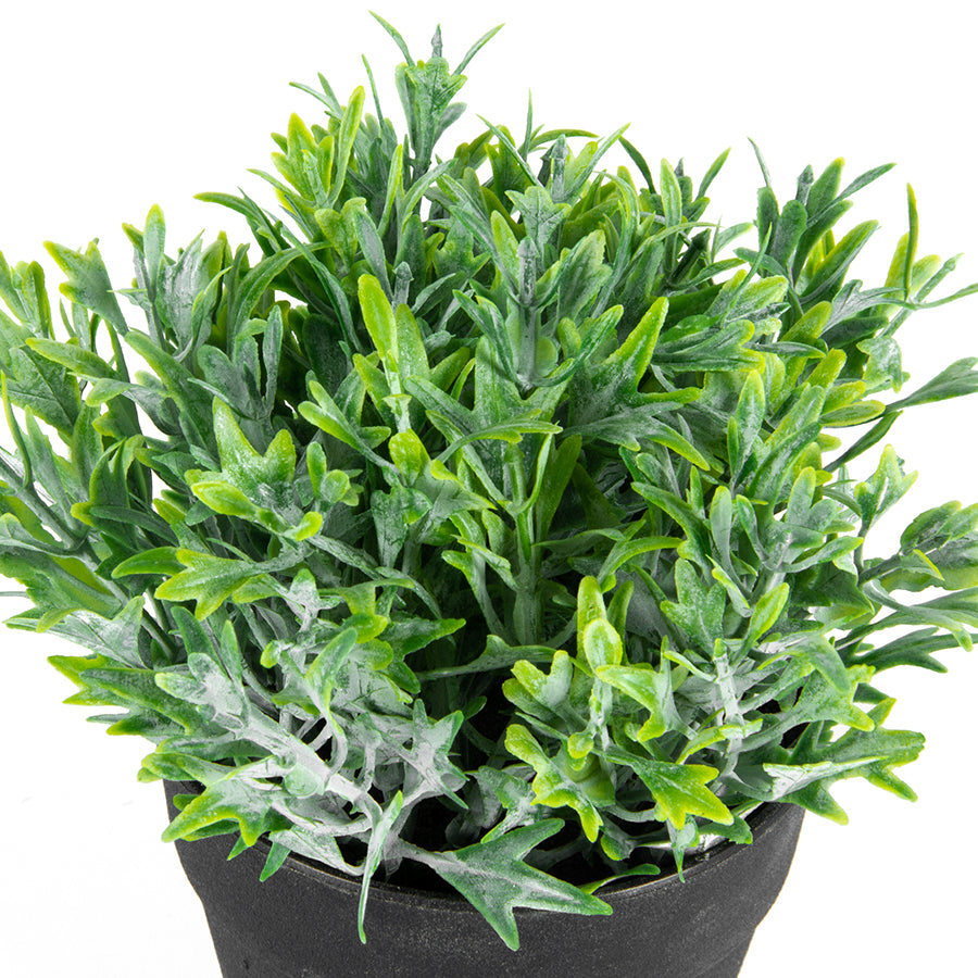 Willow &amp; Silk Artificial/Faux 17cm Green Fing Plant In Pot/Home Decor