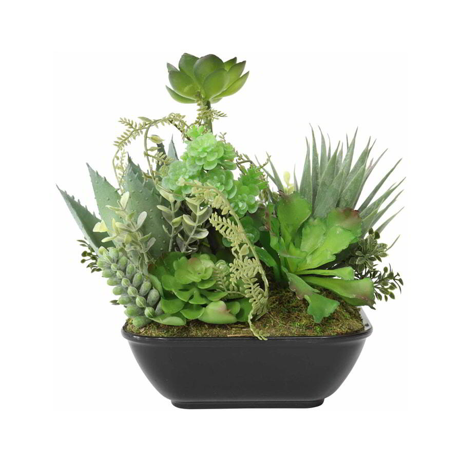 Willow &amp; Silk 2 Piece Artificial Succulents In Pot