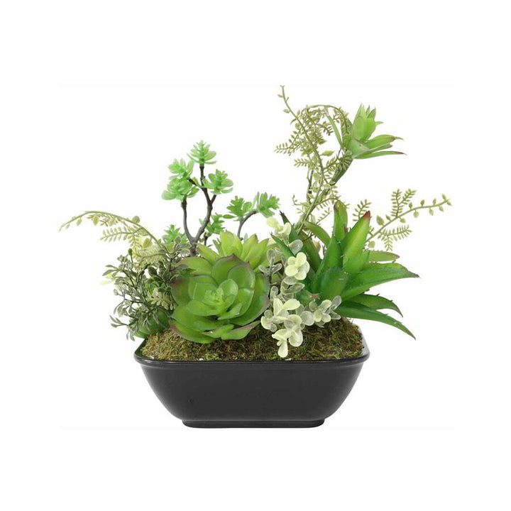 Willow &amp; Silk 2 Piece Artificial Succulents In Pot