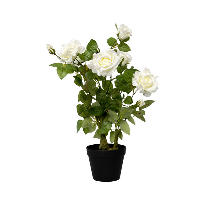 Willow &amp; Silk Artificial Rose Flower Plant In Pot