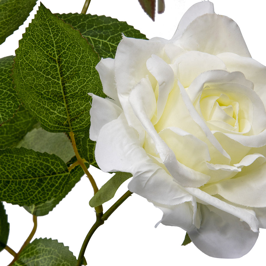 Willow &amp; Silk Artificial Rose Flower Plant In Pot