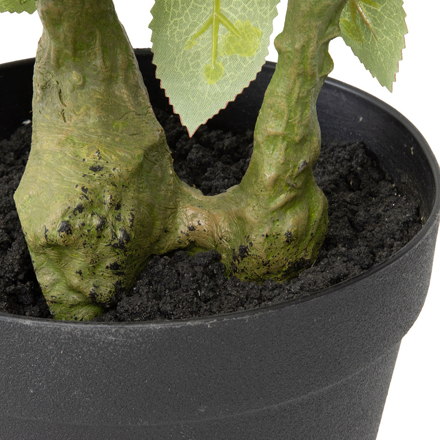 Willow &amp; Silk Artificial Rose Flower Plant In Pot