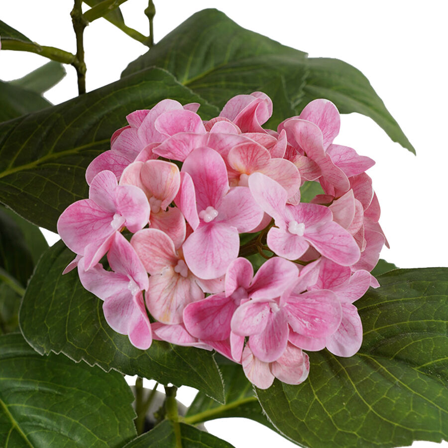 Willow &amp; Silk Potted Artificial Blush Bloom Pink Hydrangea 35x35x50cm