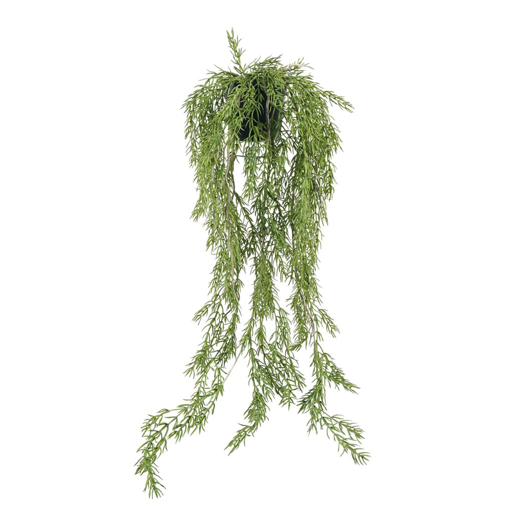 Willow &amp; Silk Rosemary in PP Pot 31*31*60cm