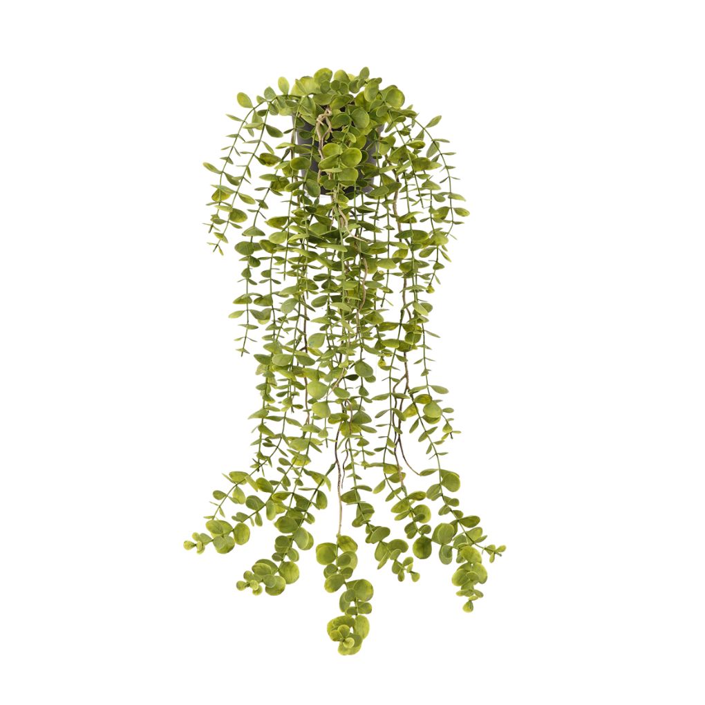 Willow &amp; Silk Eucalyptus Leaf in PP Pot 25x25x67cm