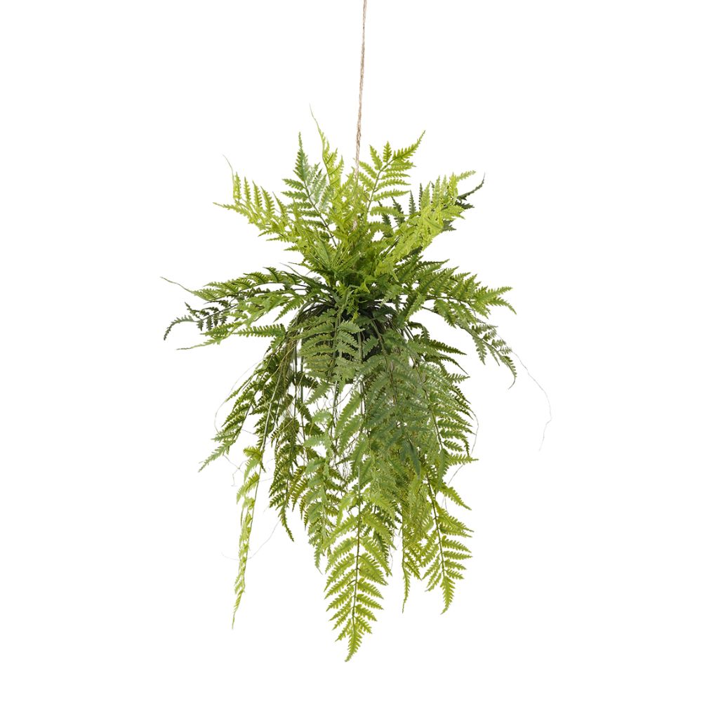 Willow &amp; Silk Fern Leaf with Foam Root 45x45x99cm