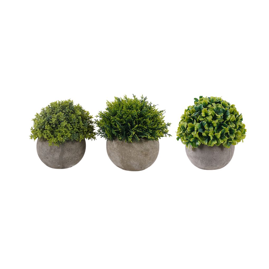 S/3 Grass in Paper Pulp Pot 11*11*13/12.5*12.5*13/13*13*12cm
