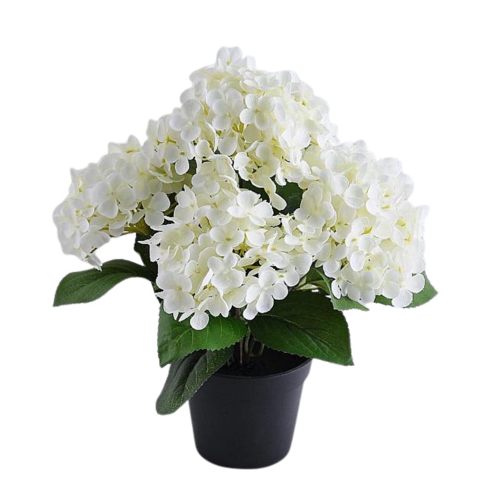 Willow &amp; Silk Hydrangea in PP Pot 30x30x35cm