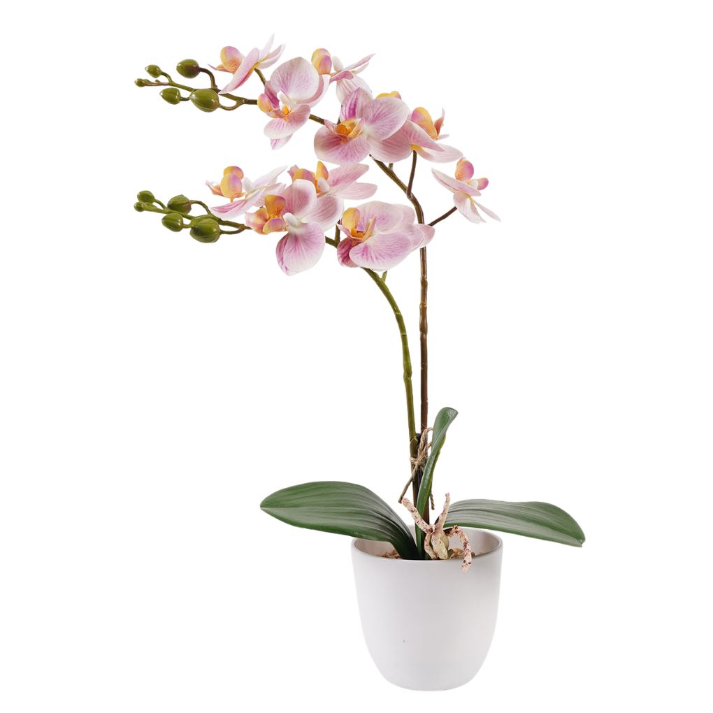 Willow &amp; Silk Orchid in PP Pot 30x11x40cm