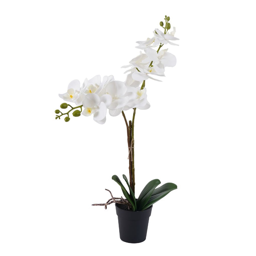 Willow &amp; Silk Orchid in PP Pot 41x20x52cm