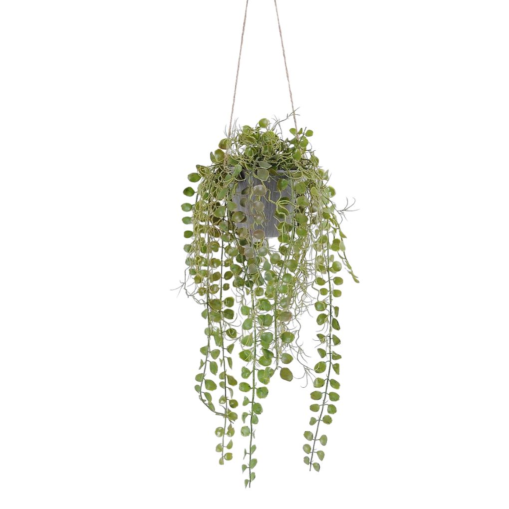 Willow &amp; Silk Fern Hanging in PE Pot, Outdoor (Rope 37cm) 23x23x54cm