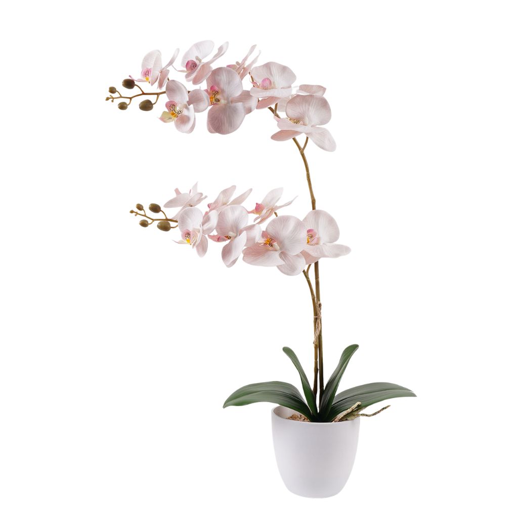 Willow &amp; Silk Orchid in PP Pot 36x17x65cm