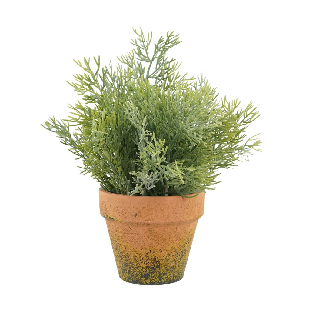 Willow &amp; Silk Cypress in PP Pot - Small 18x18x20cm