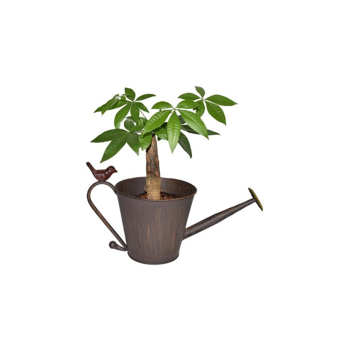 Willow &amp; Silk Watering Can Shape Potplanter w/yellow flower 34x16x19cm