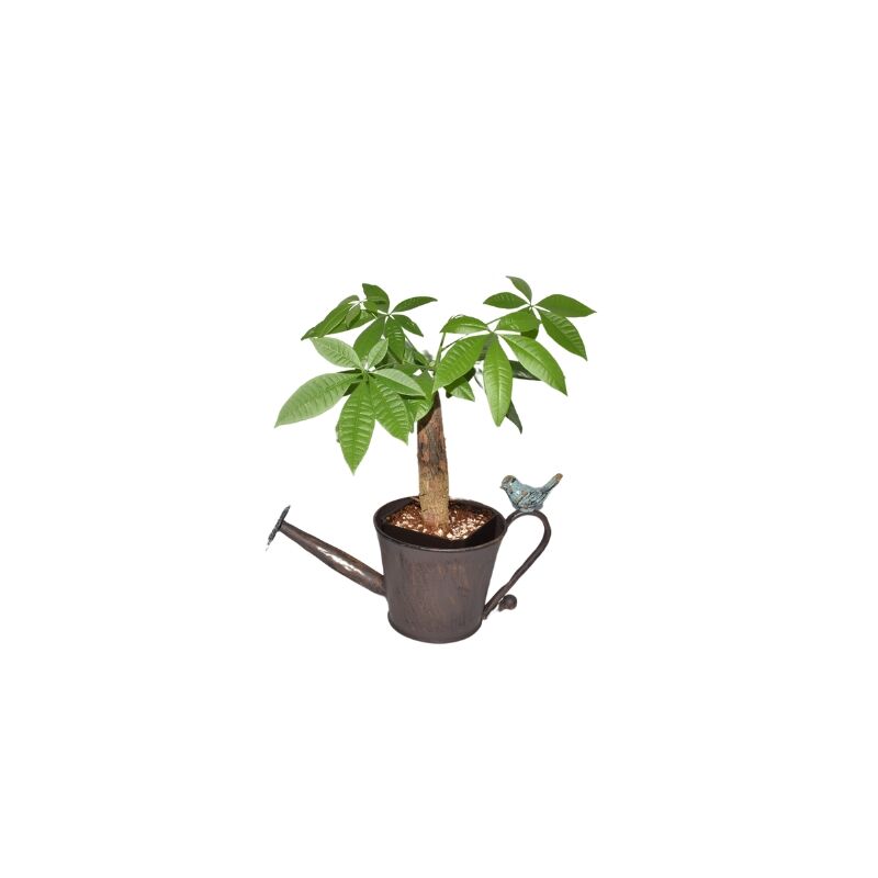 Willow &amp; Silk Watering Can Shape Potplanter w/Blue Flower 28x13x15cm