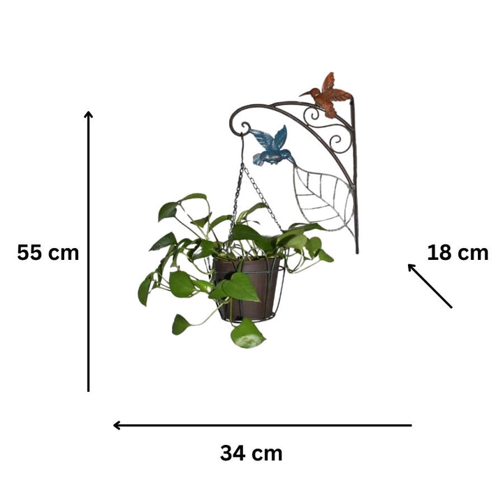 Willow &amp; Silk Hanging Potplanter with Pot, Wall Bracket and  Hummingbirds