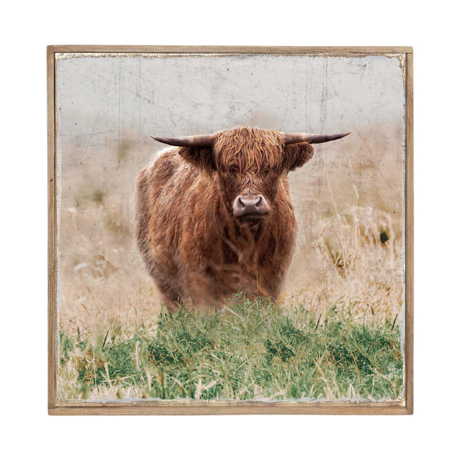 Willow &amp; Silk Standing Highland Cow Framed Canvas 42x42x3.7HCM