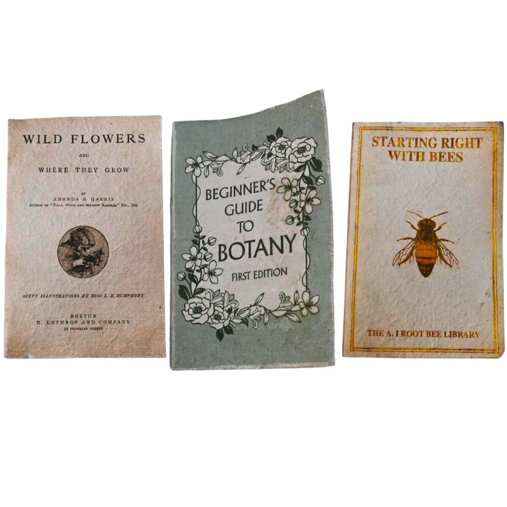 Willow &amp; Silk S/3 Gardeners Vintage Note Books 13x20x4HCM