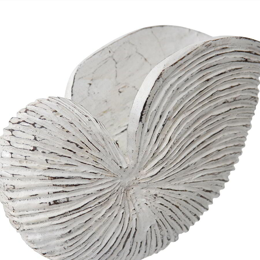 Willow &amp; Silk Handmade 27cm Wooden Whitewash Shell On Base Ornament