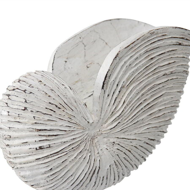 Willow &amp; Silk Handmade 27cm Wooden Whitewash Shell On Base Ornament