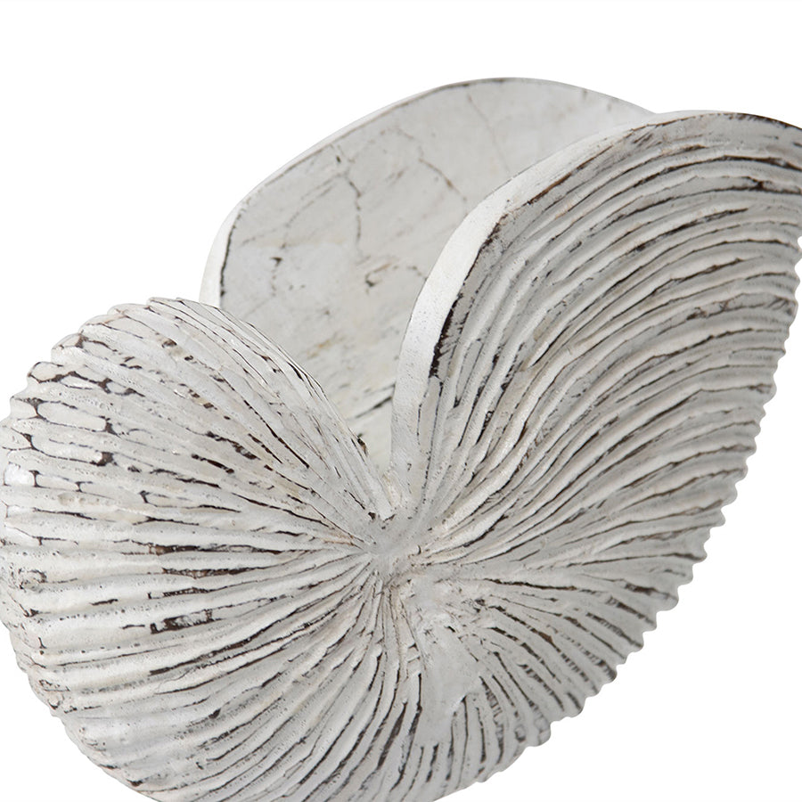 Willow &amp; Silk Handmade 27cm Wooden Whitewash Shell On Base Ornament