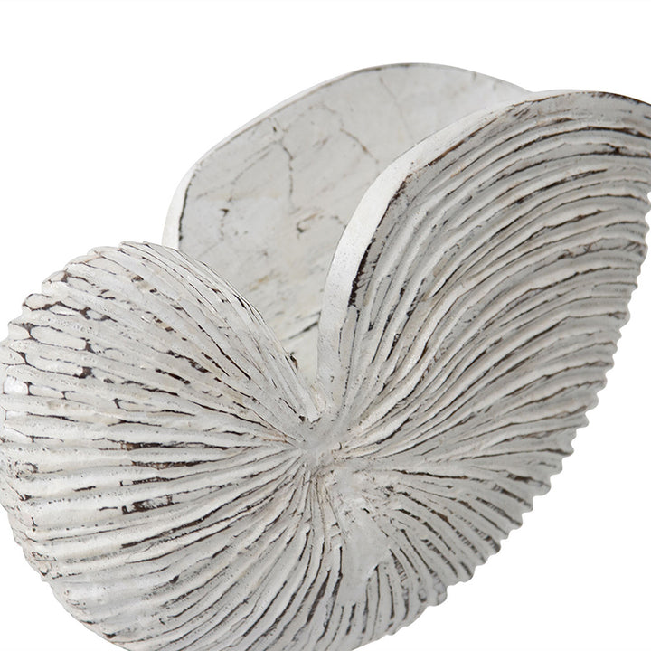 Willow &amp; Silk Handmade 27cm Wooden Whitewash Shell On Base Ornament