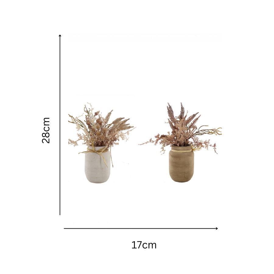 Willow &amp; Silk Artificial 28cm Set of 2 Dried Flowers In Ceramic Pots