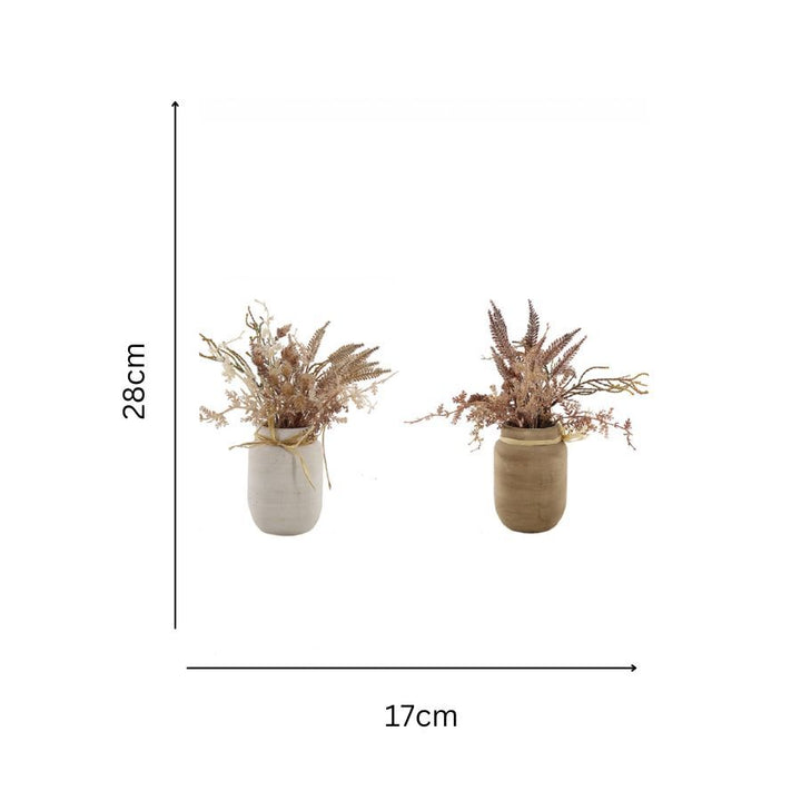 Willow &amp; Silk Artificial 28cm Set of 2 Dried Flowers In Ceramic Pots