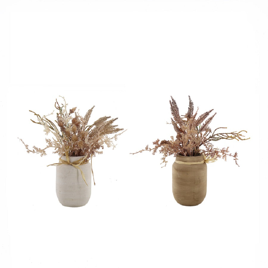 Willow &amp; Silk Artificial 28cm Set of 2 Dried Flowers In Ceramic Pots