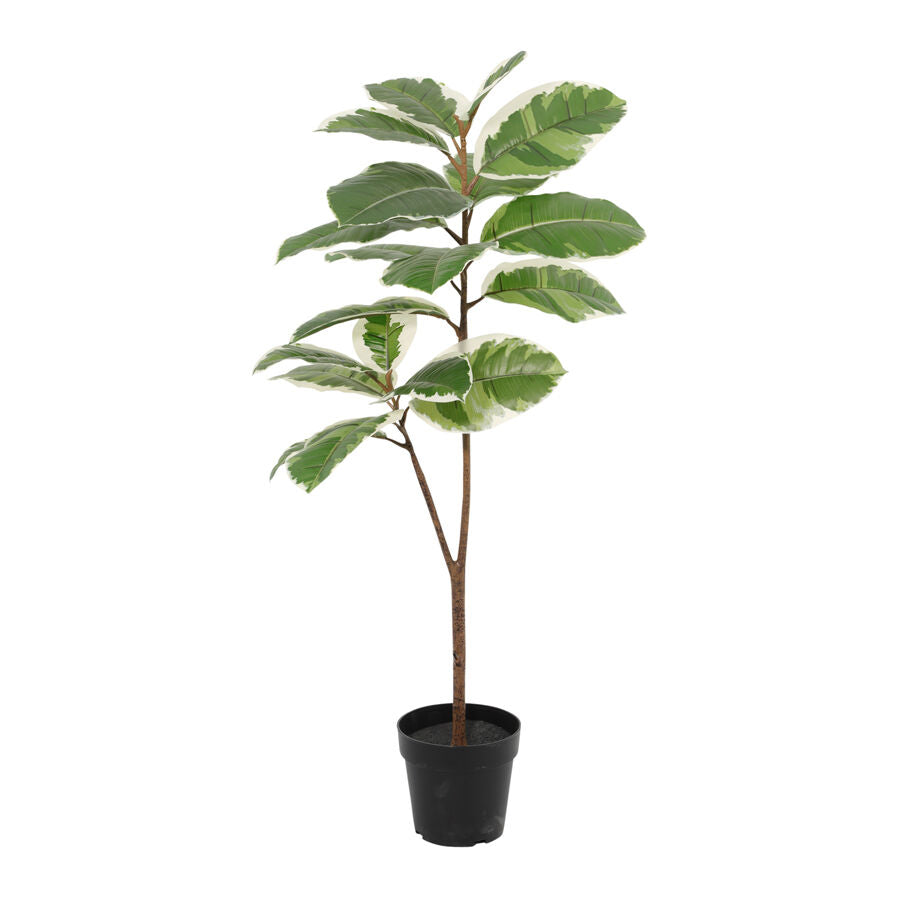 Willow &amp; Silk 118cm Potted Artificial Variegated Rubber Leaf Tree