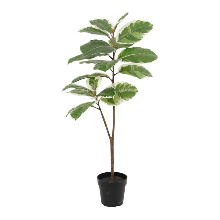 Willow &amp; Silk 118cm Potted Artificial Variegated Rubber Leaf Tree